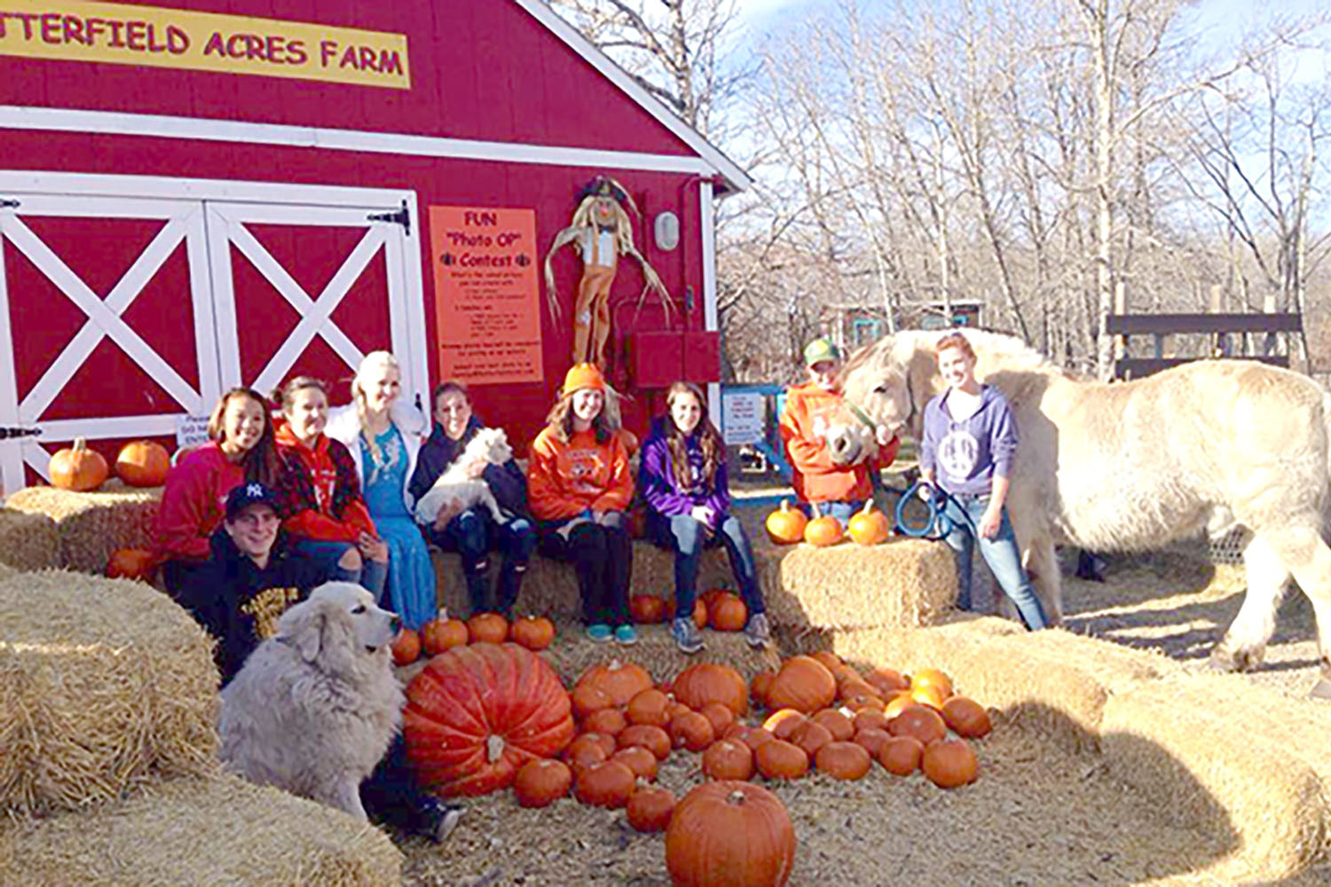 butterfield-acres-pumpkin-patches-calgary