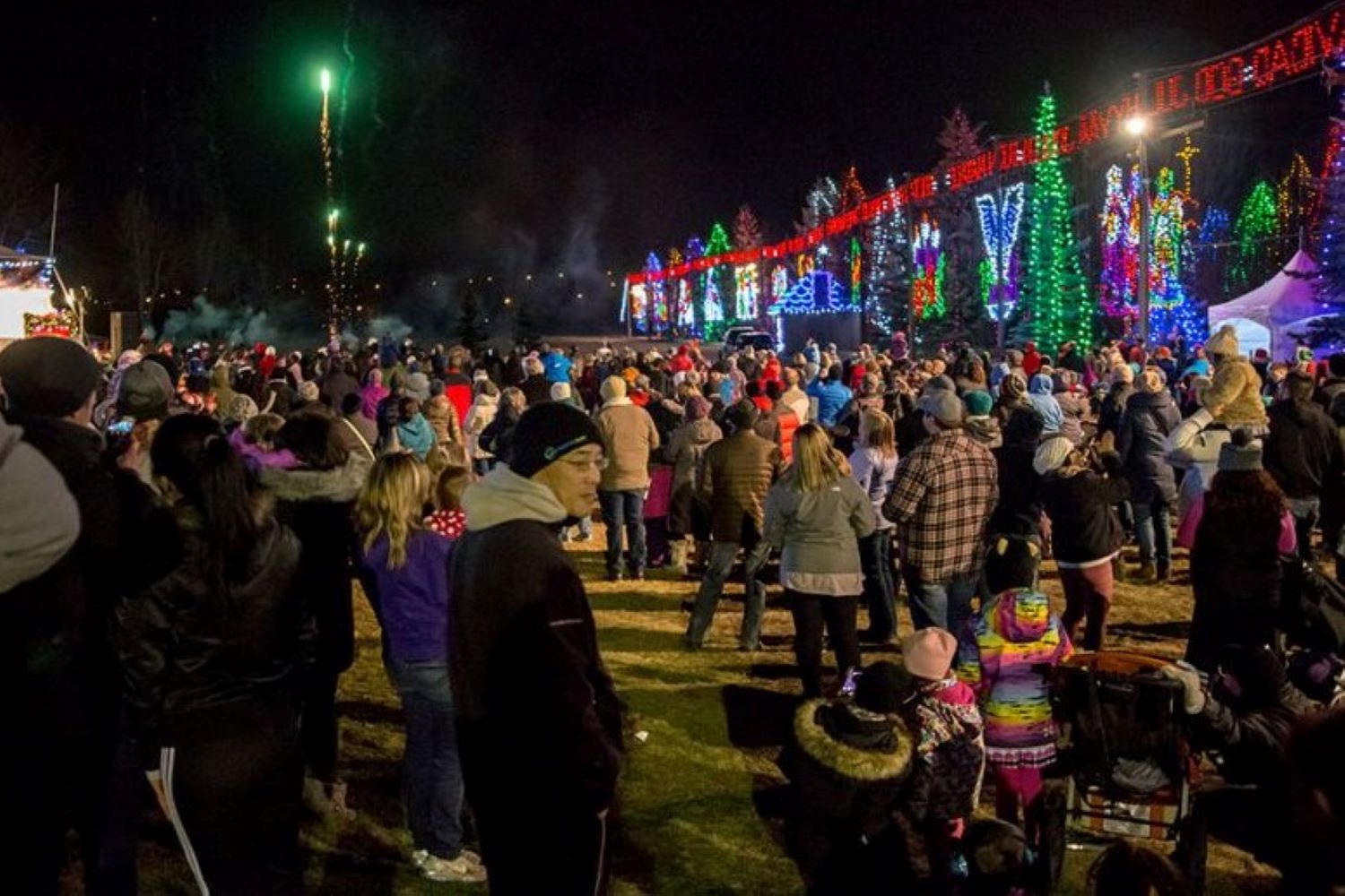 Lions festival of lights