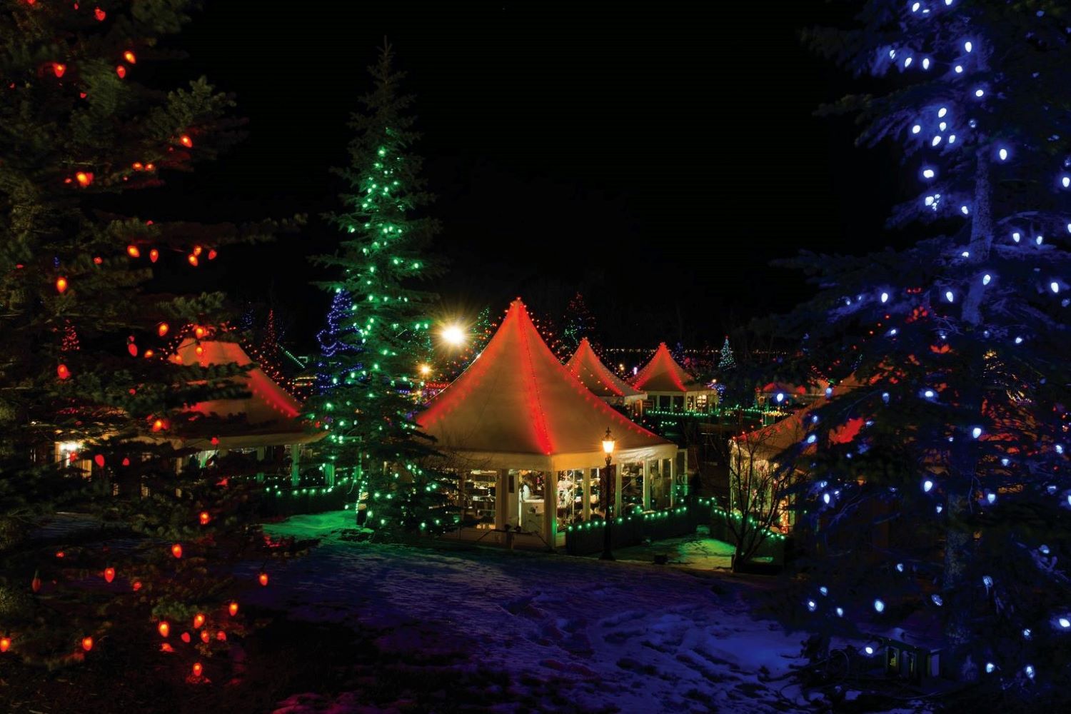 spruce meadows christmas market