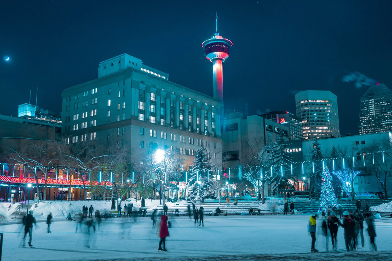 things to do in calgary this december