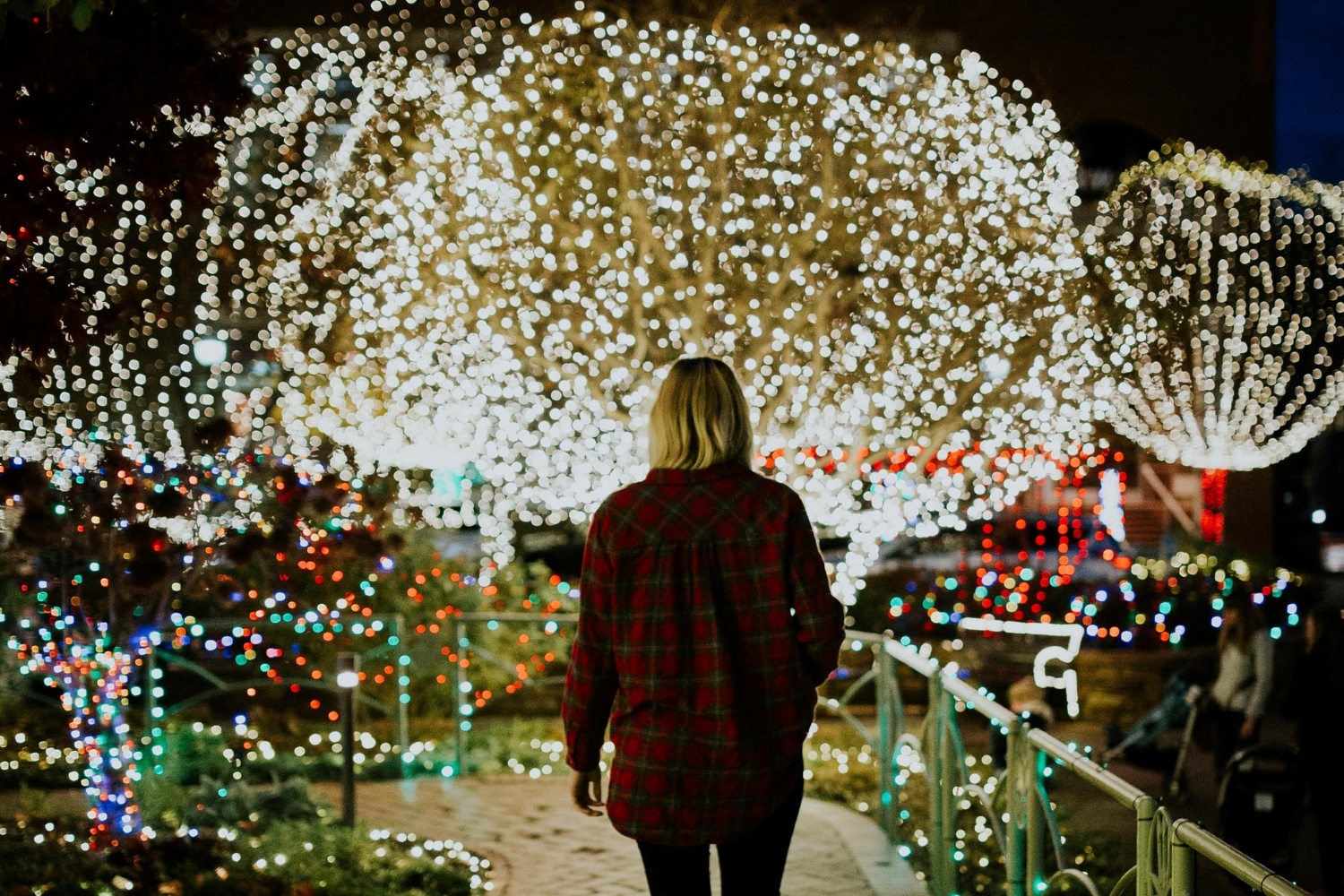 Noel Light Festival