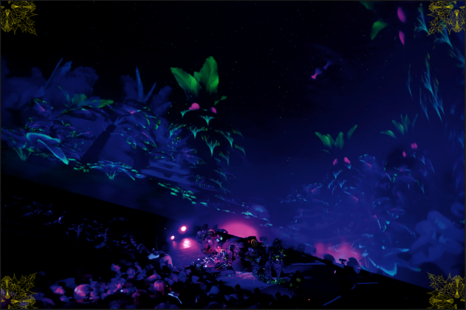 Mesmerica 360