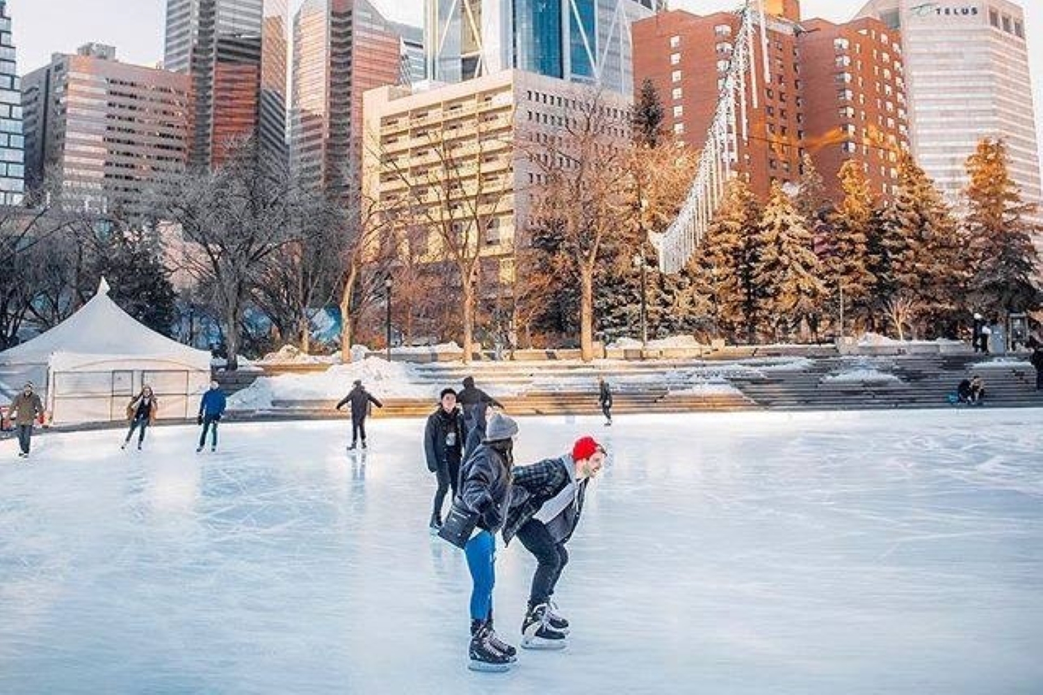 people skating at olympic plaza holiday activities calgary