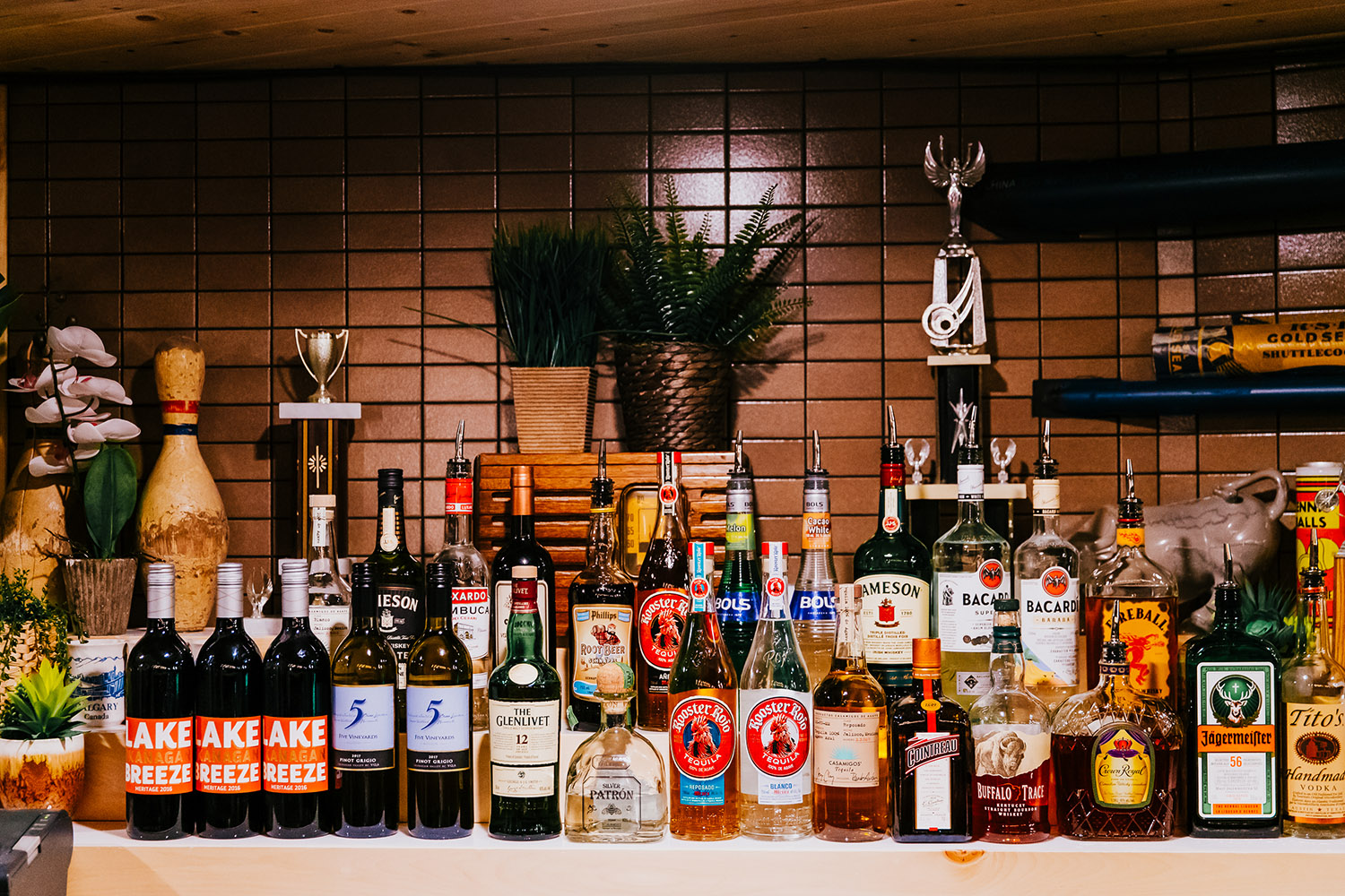 calgary shuffle club yyc