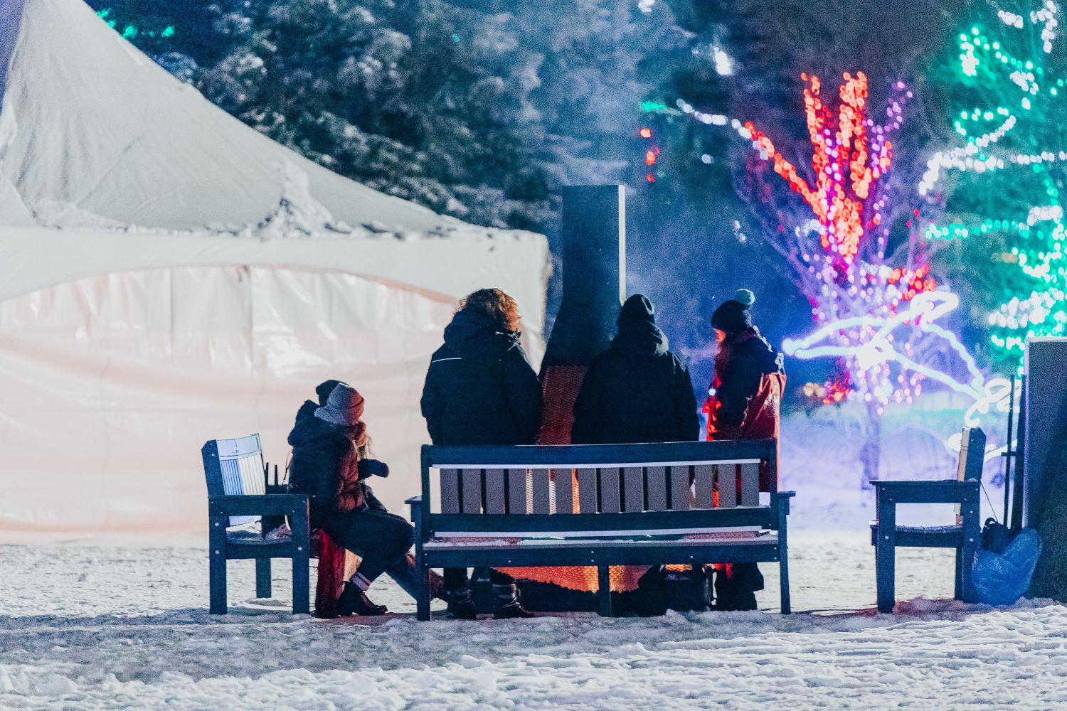 zoolights in calgary