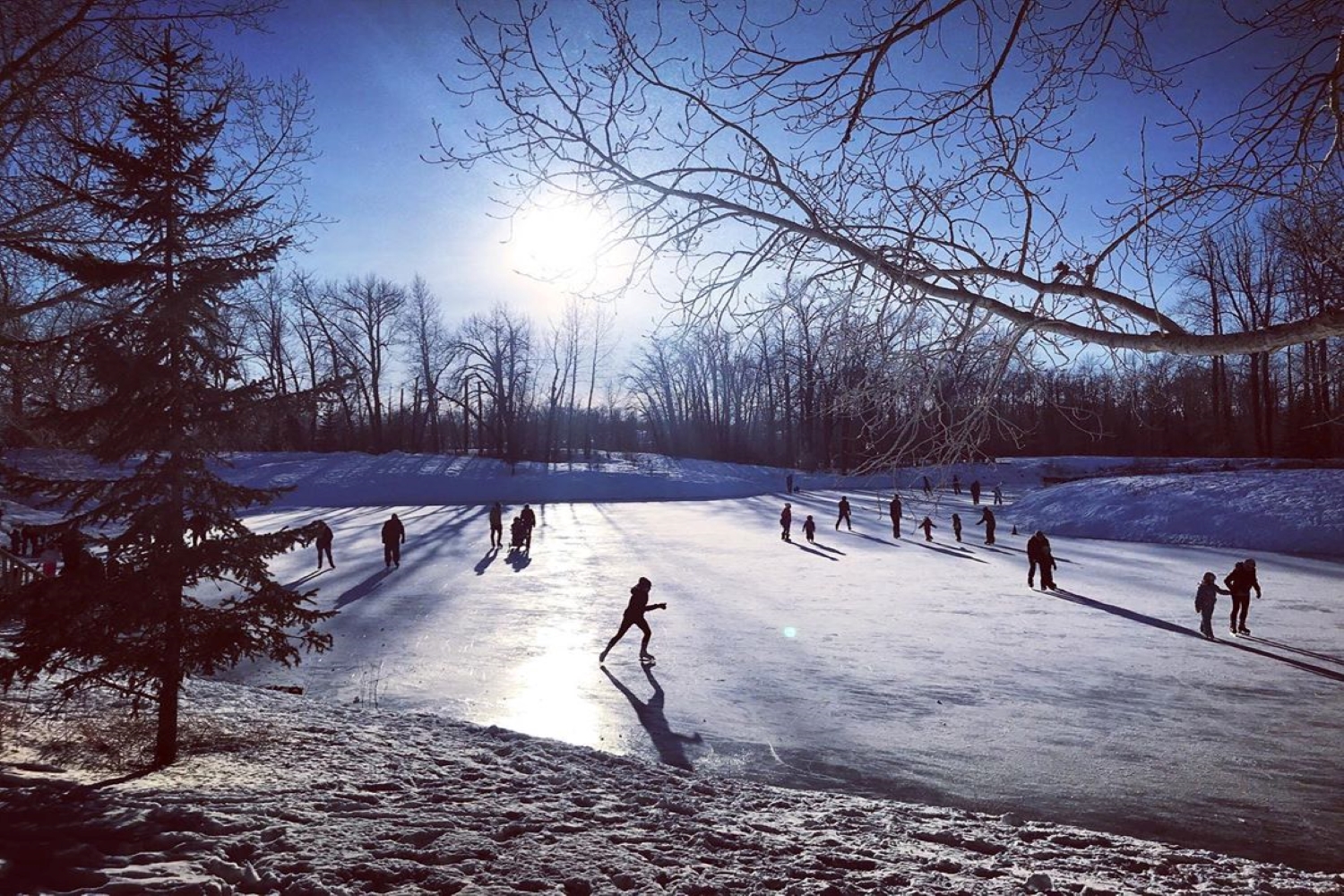 10 best places to skate in calgary