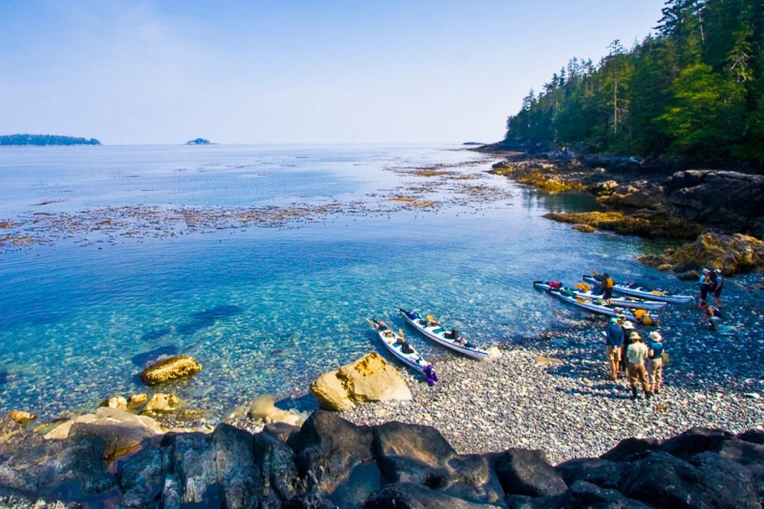 new york times places to go 2020 canada