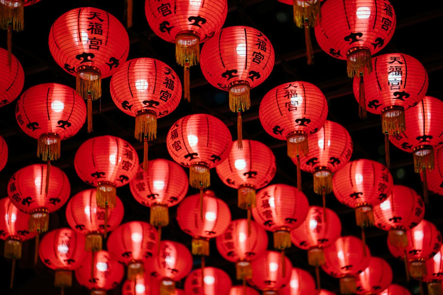 Lunar new year celebrations in Calgary