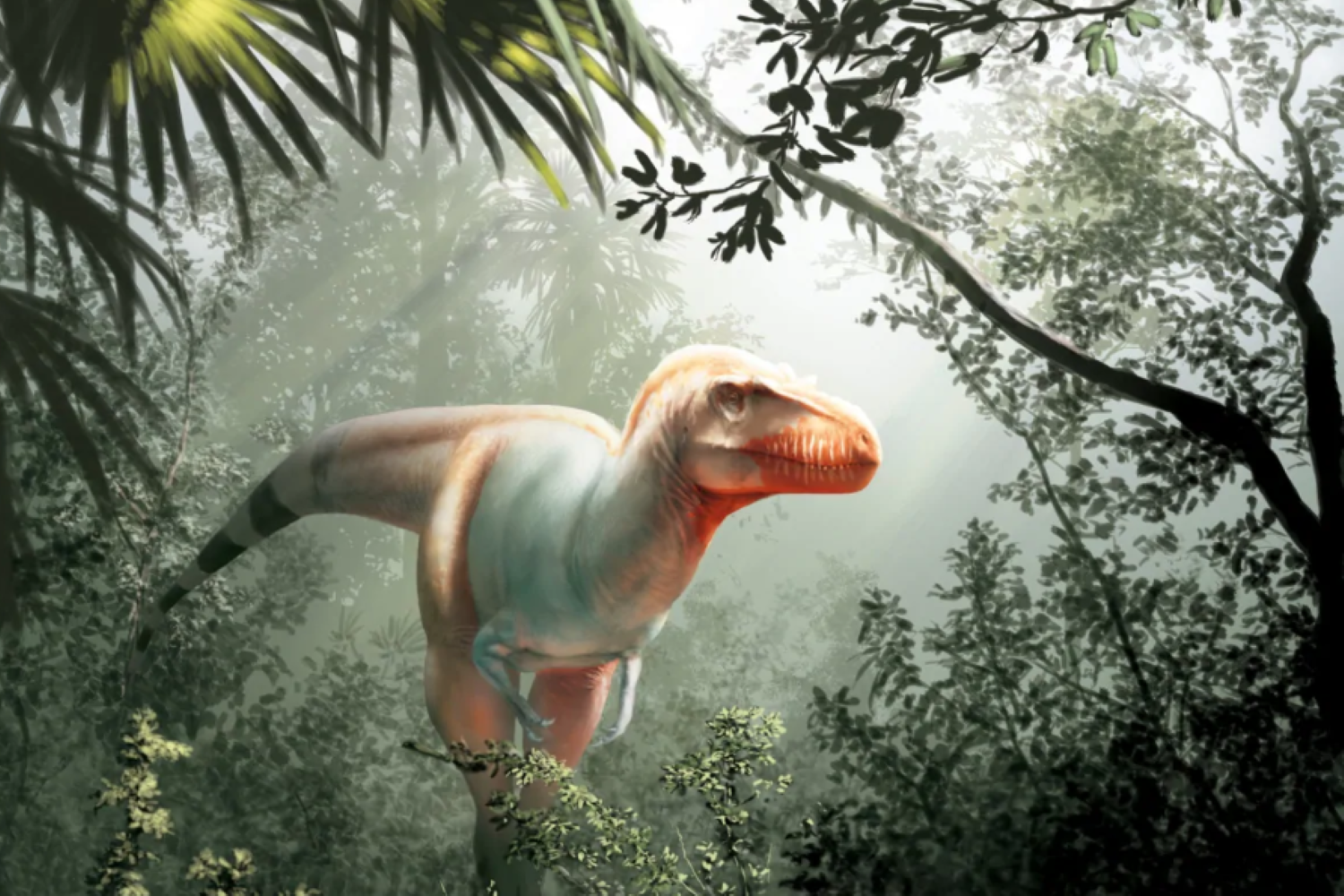 First Canadian tyrannosaur in 50 years, just discovered in Alberta