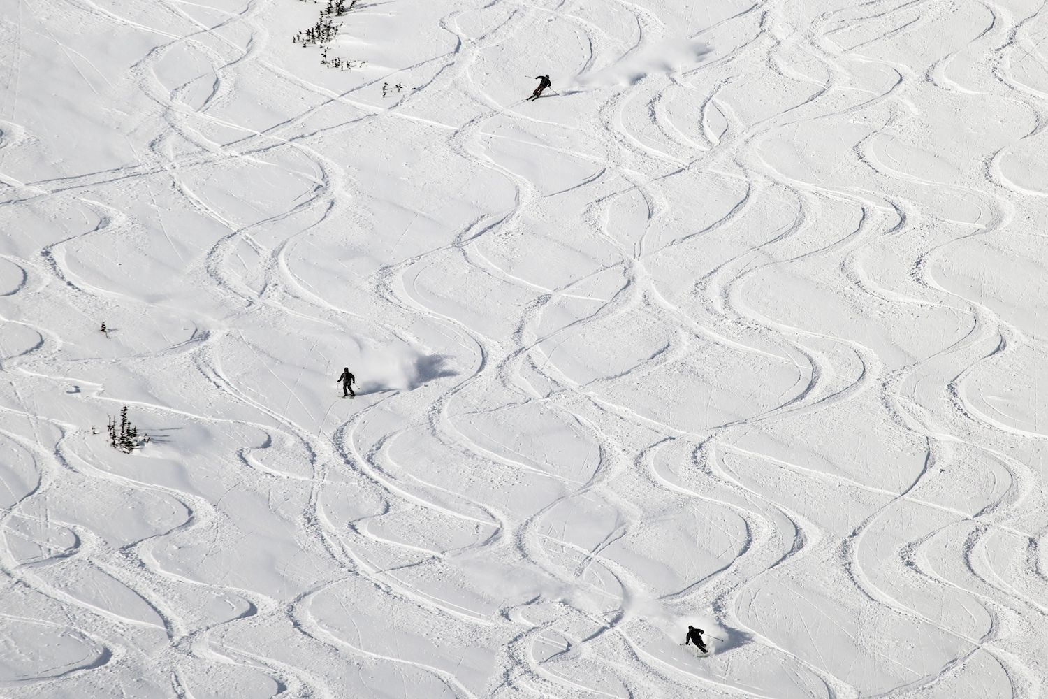 castle mountain resort
