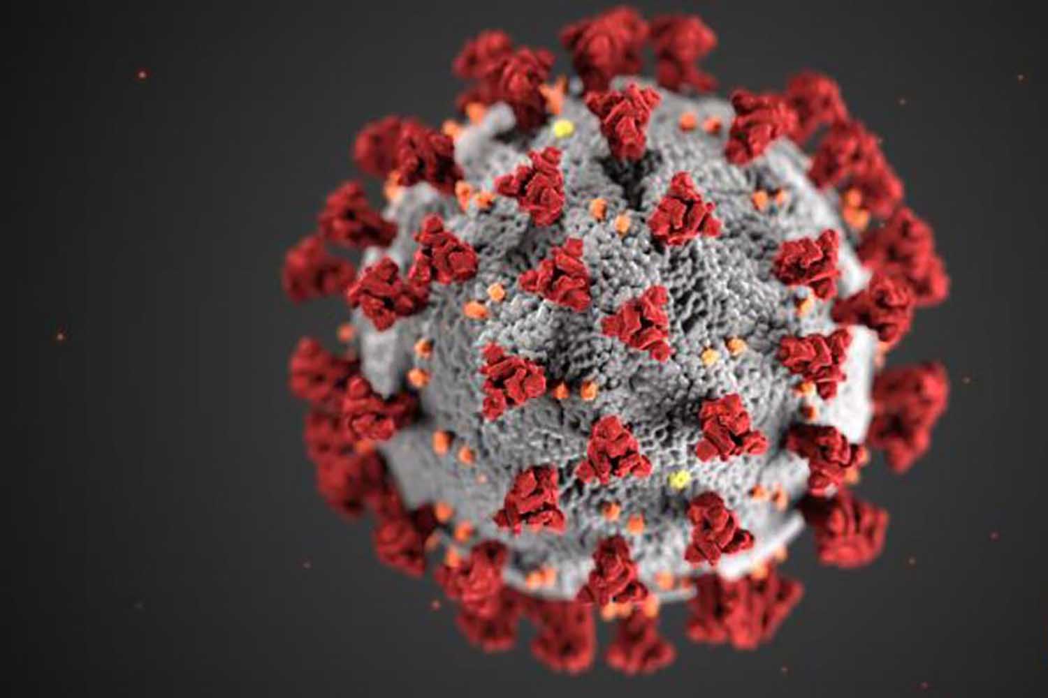 coronavirus covid-19 vaccine saskatchewan