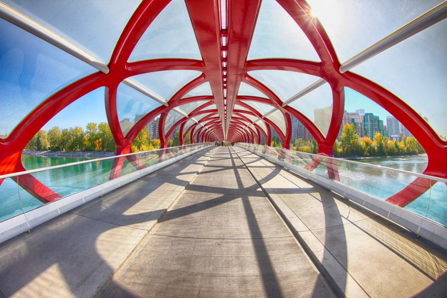 calgary things to do this weekend