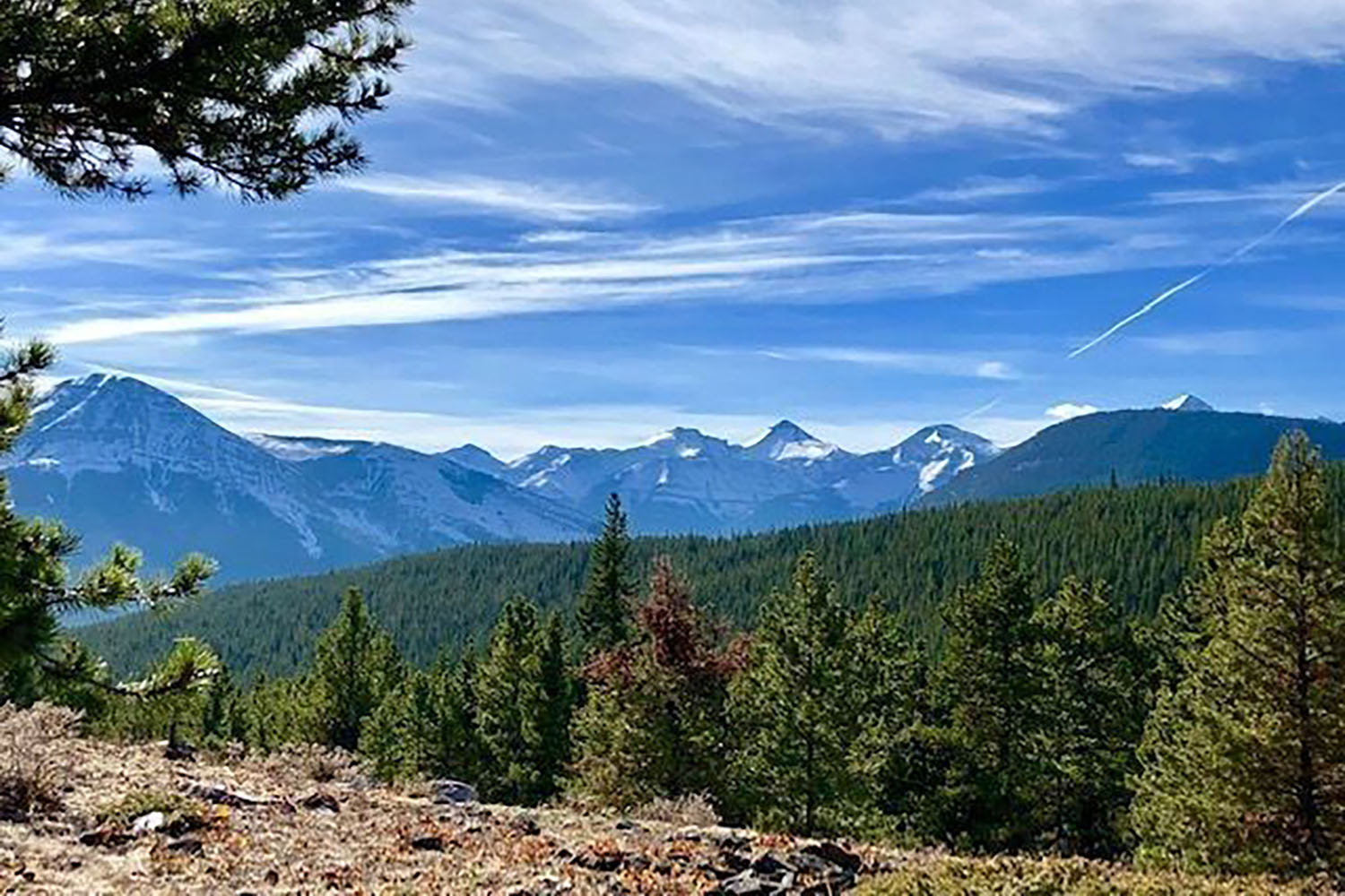 mustang hills hiking near calgary