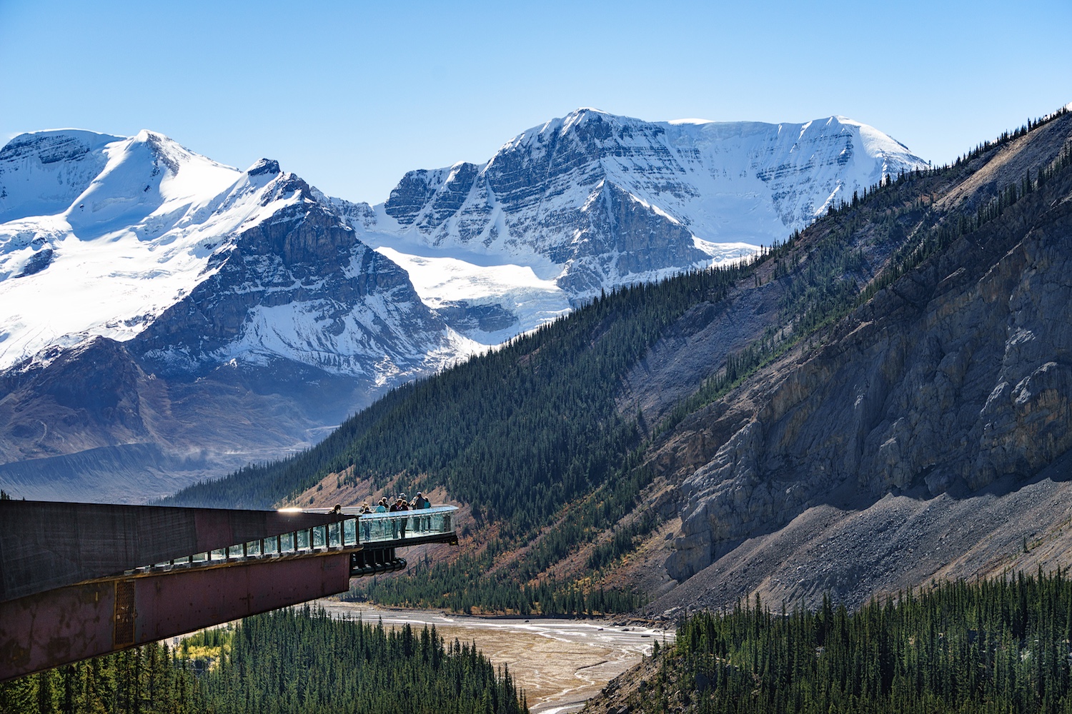 alberta staycation