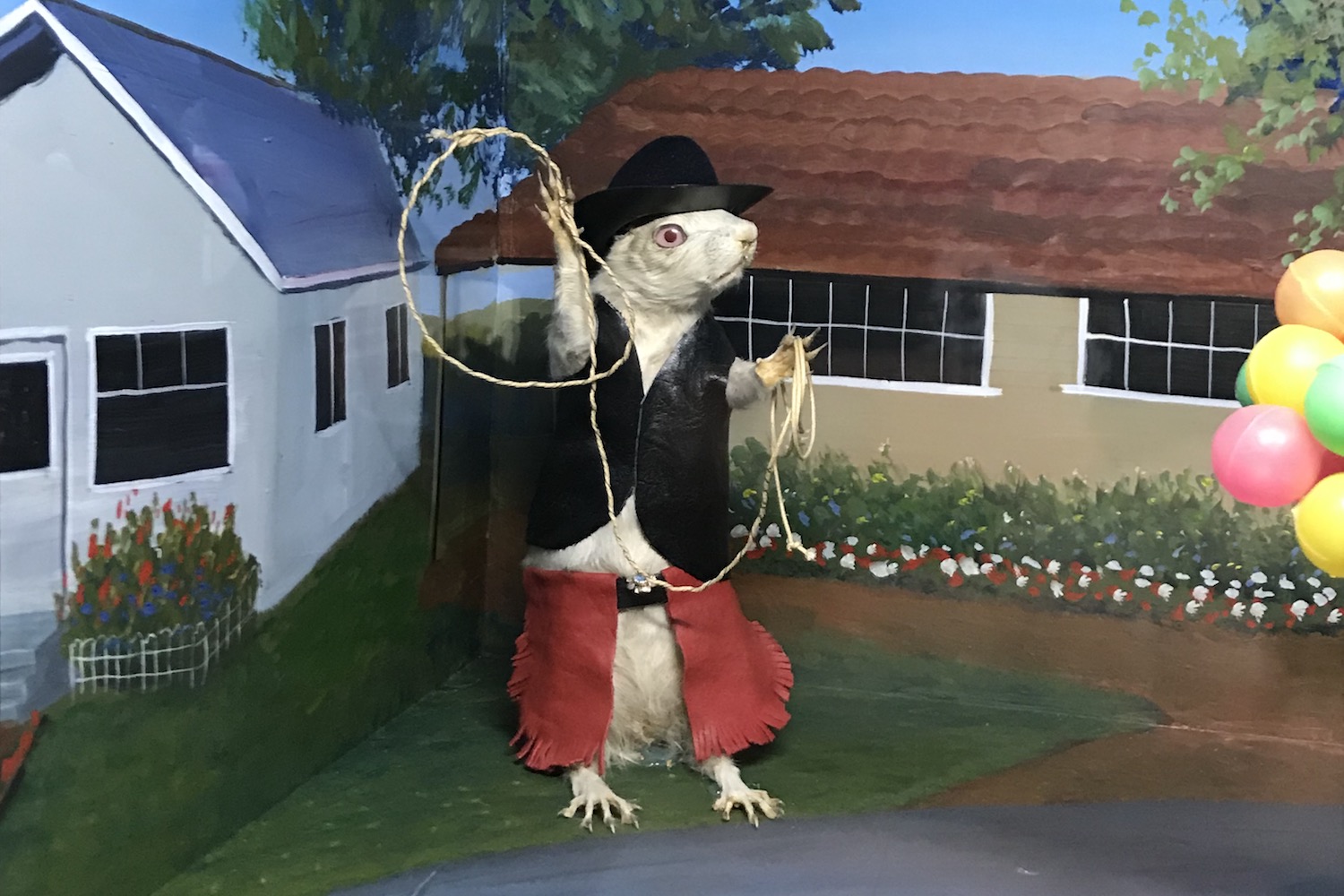 torrington gopher hole museum
