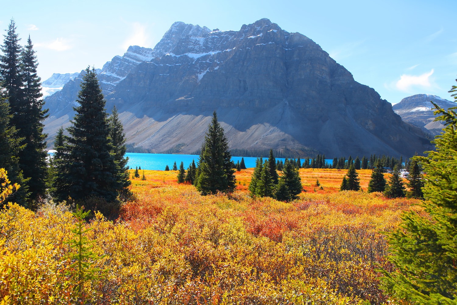 fall colours alberta banff