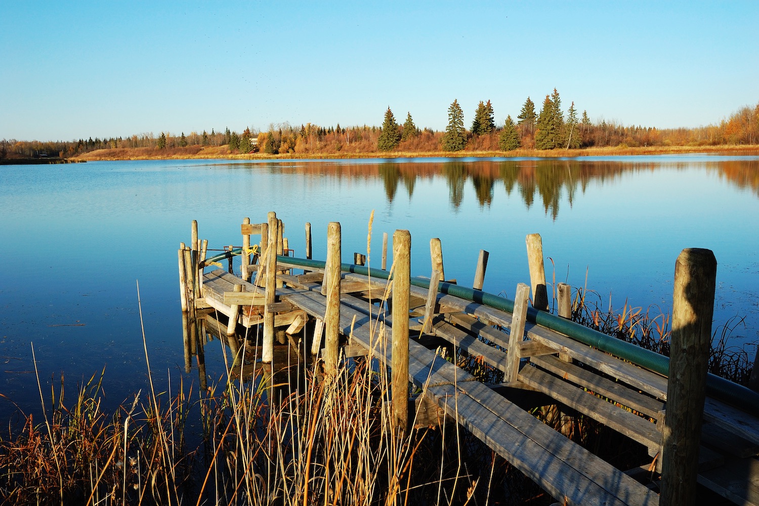 elk island