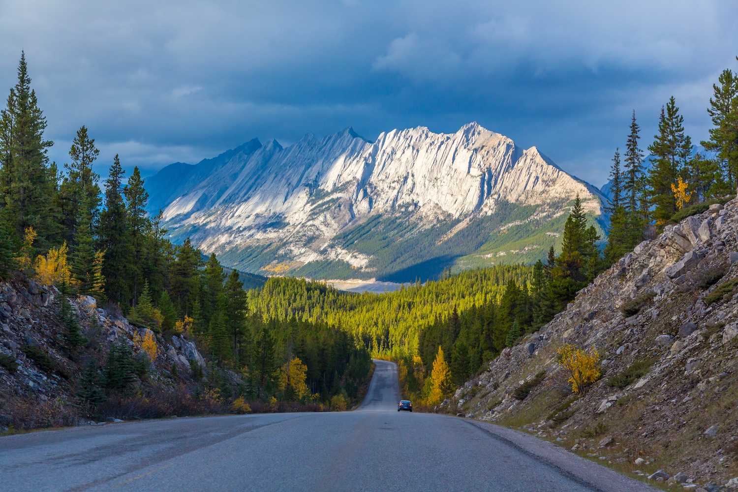 fall colours alberta jasper