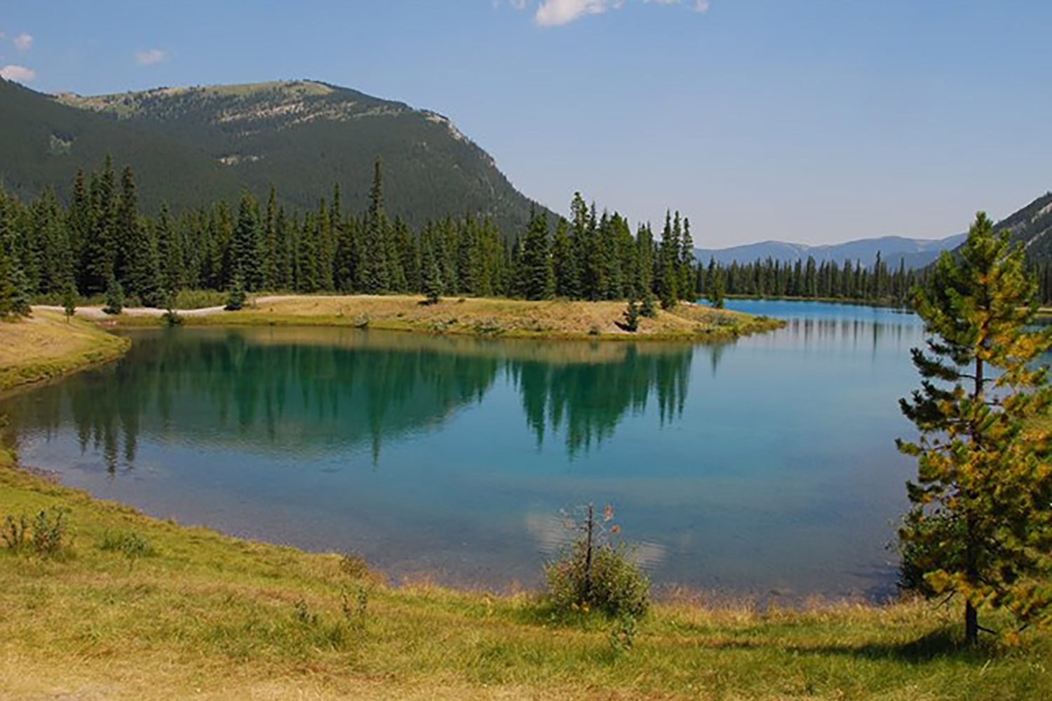little-elbow-campground-l-14