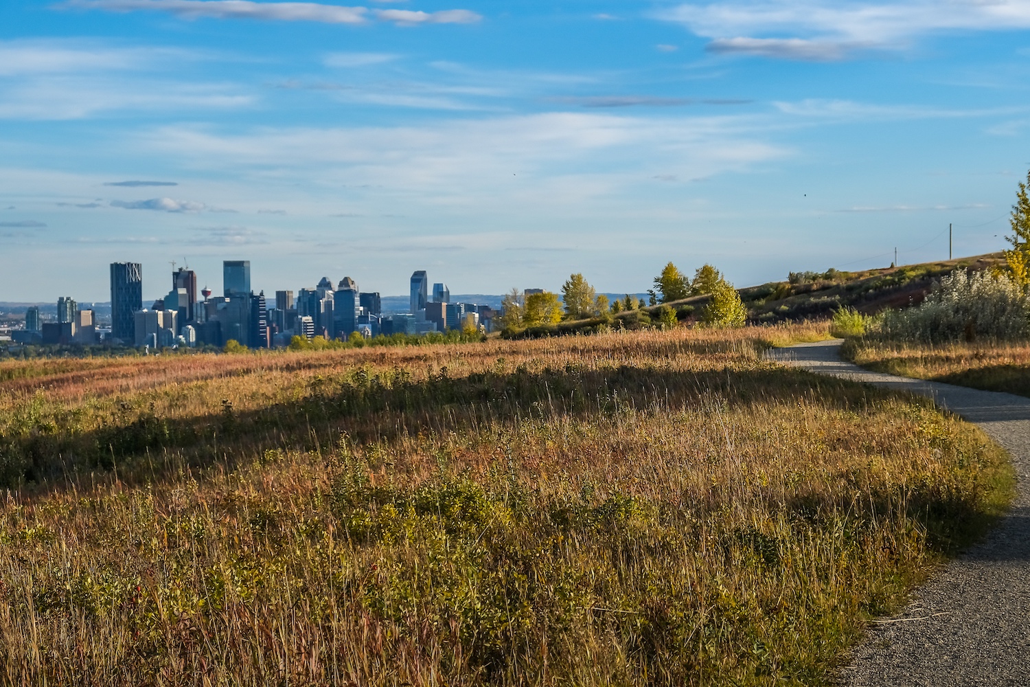 nose hill park fall colours alberta