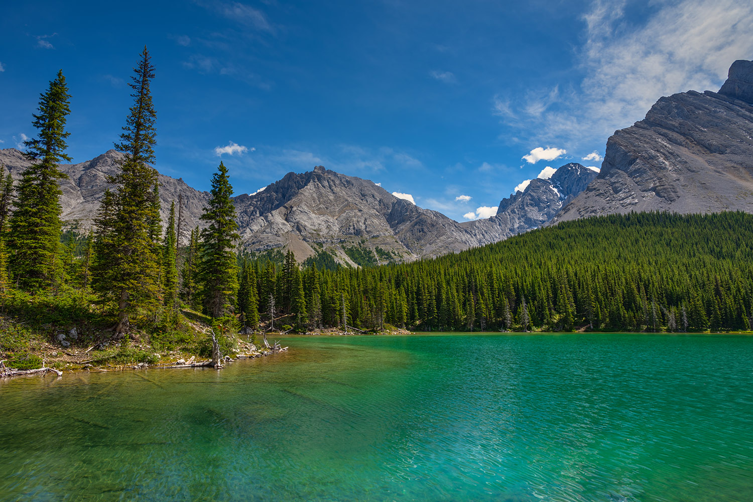 peter lougheed provincial park camping near calgary