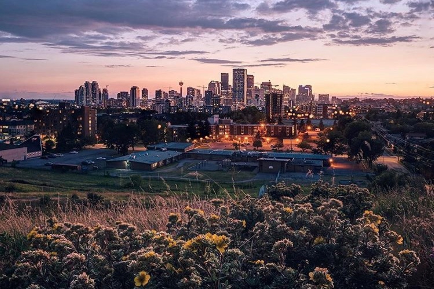 8 Things To Do In Calgary This Weekend (September 11-13)