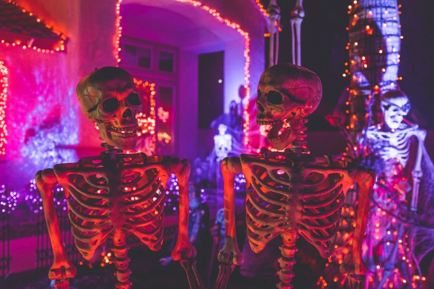 8 Things To Do In Calgary This Weekend (October 23-25)