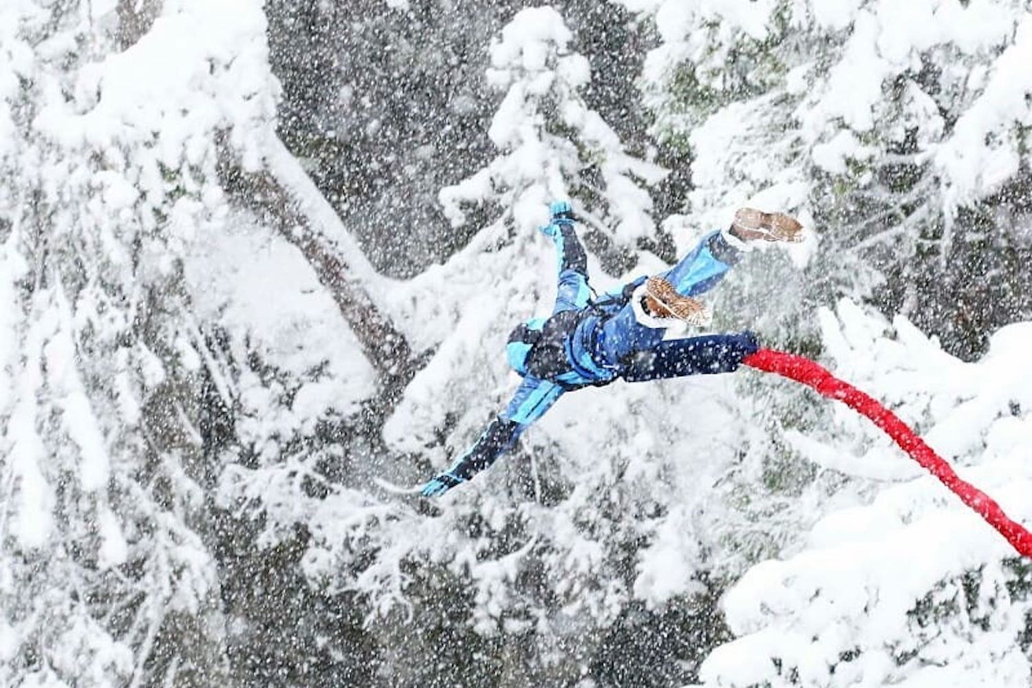 bungee whistler