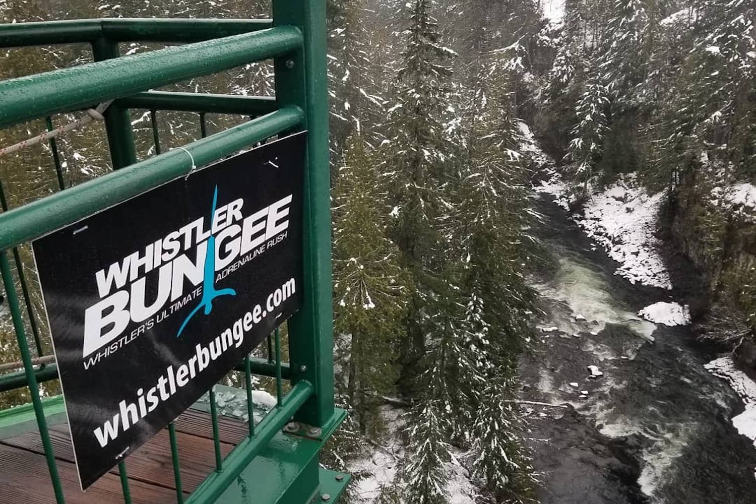 whistler bungee