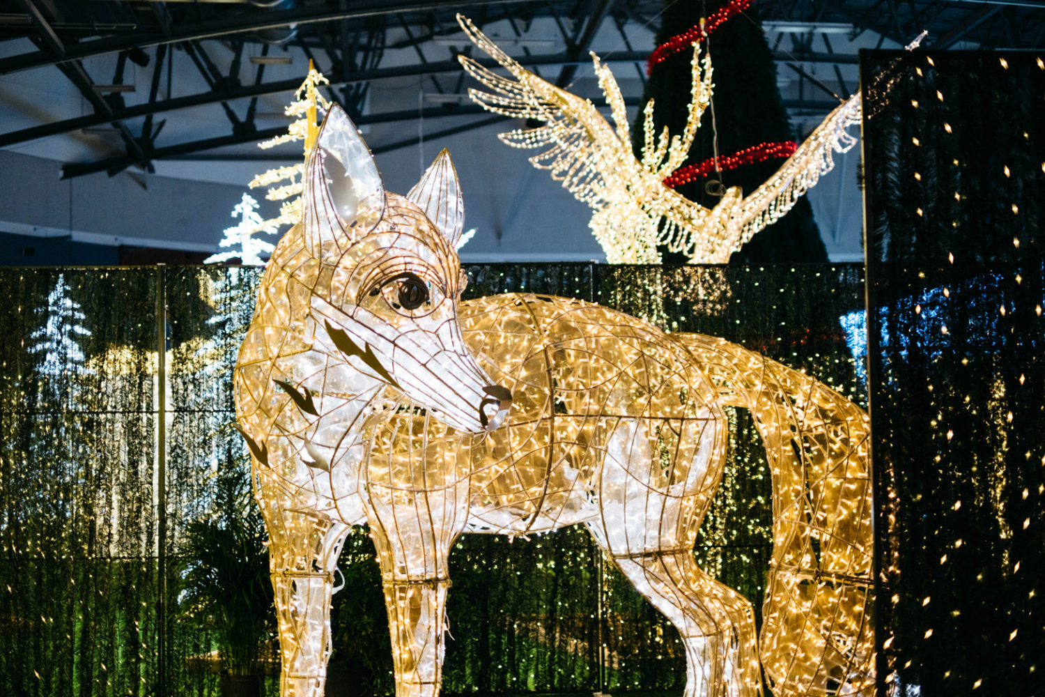 noel light festival calgary