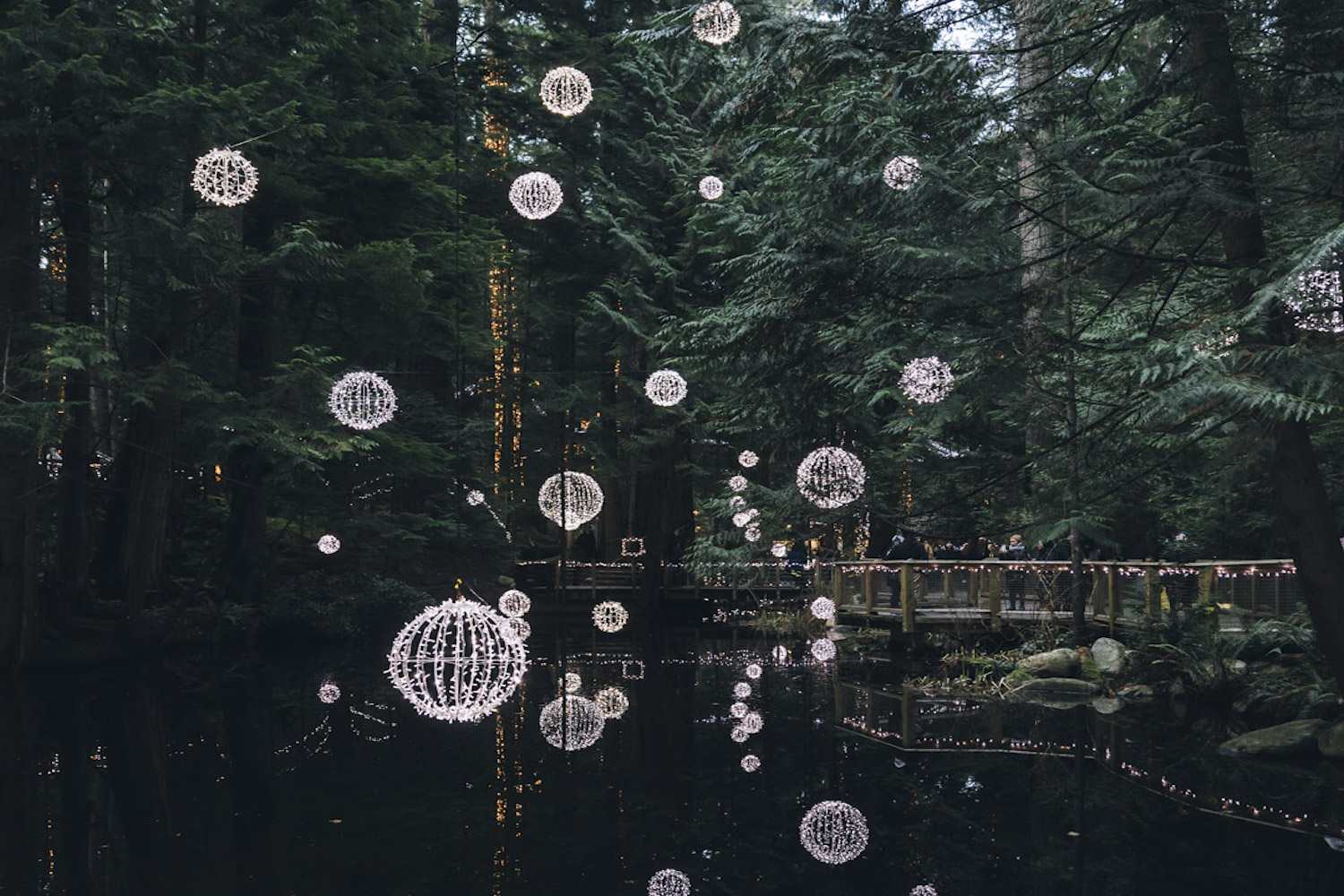 canyon lights capilano