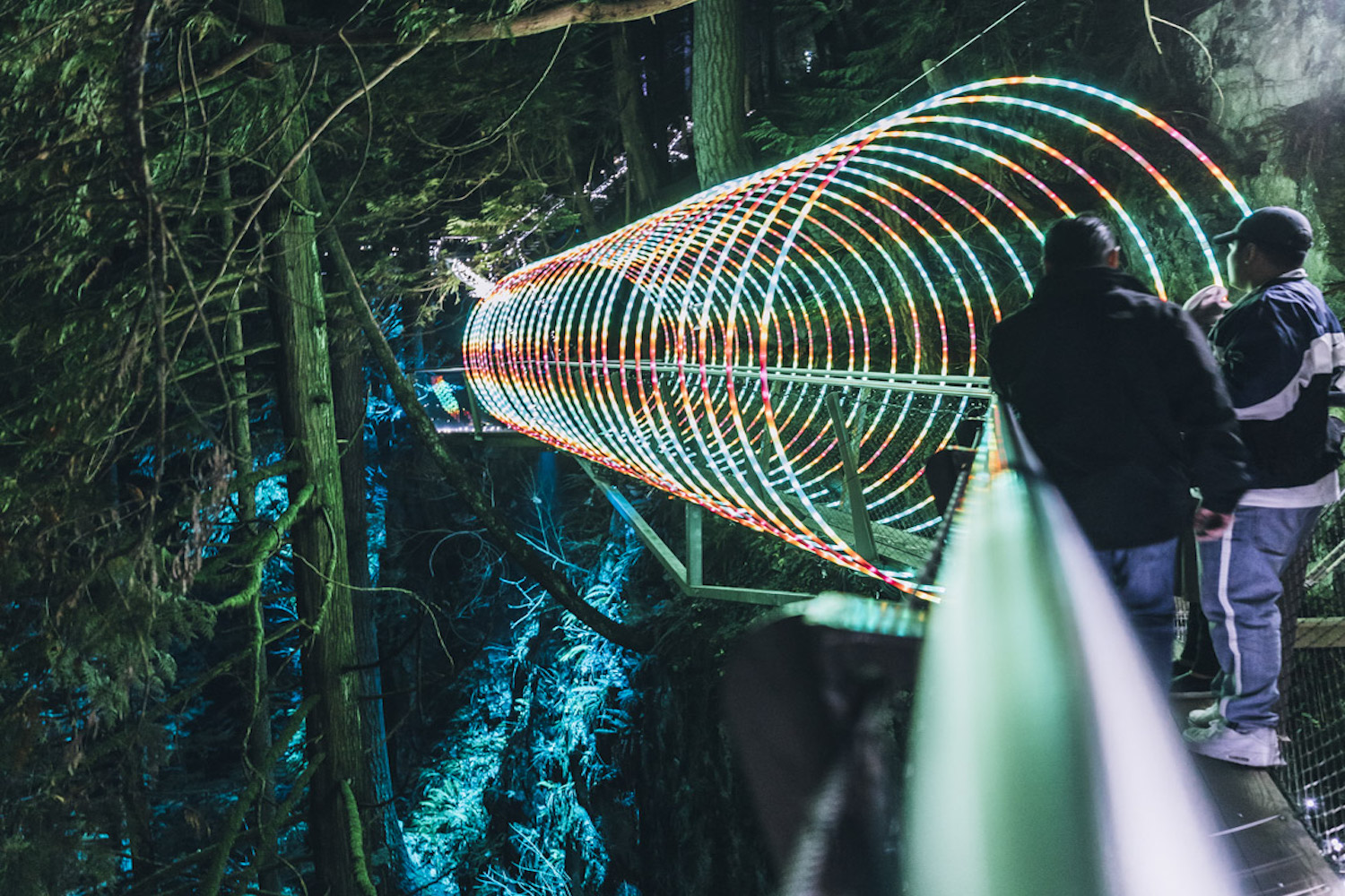 canyon lights capilano