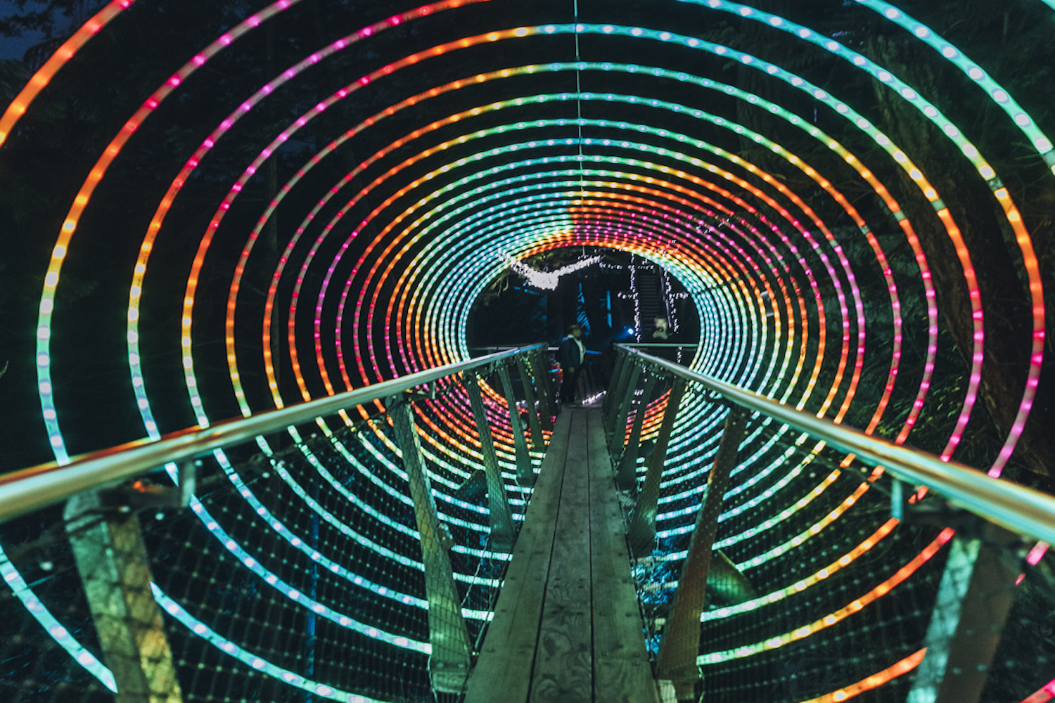 canyon lights capilano