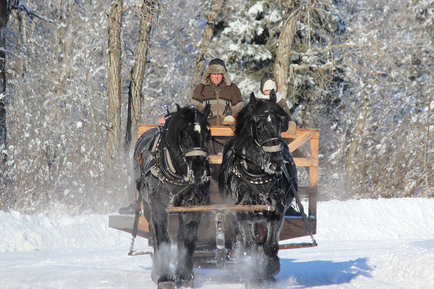 holiday events near calgary