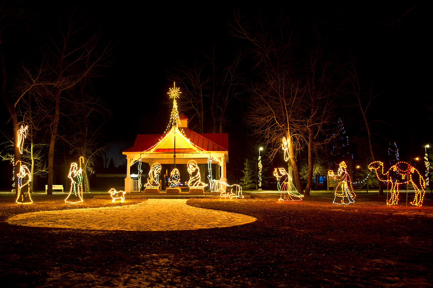 light-up-longview-02