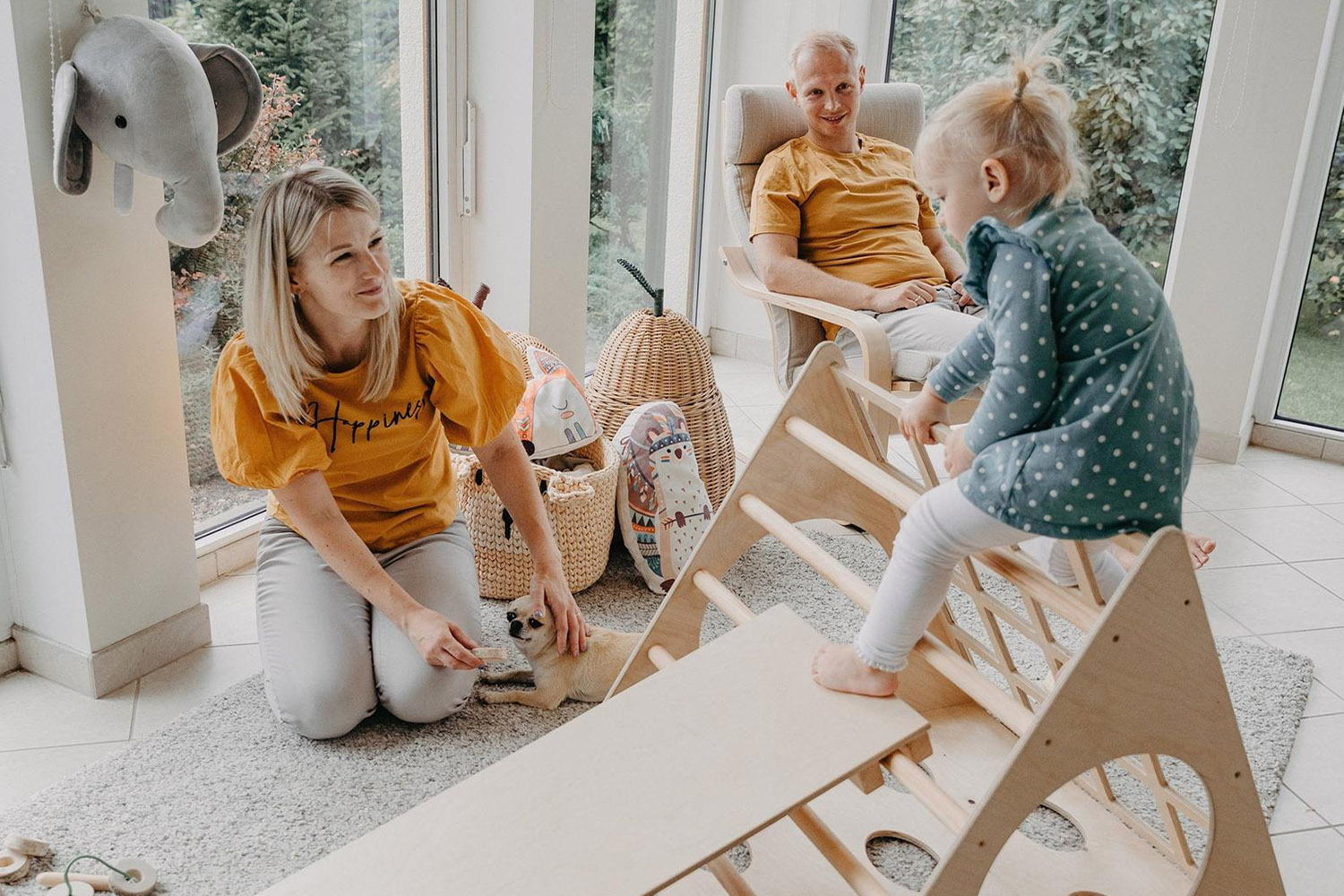 house jungle gym bed