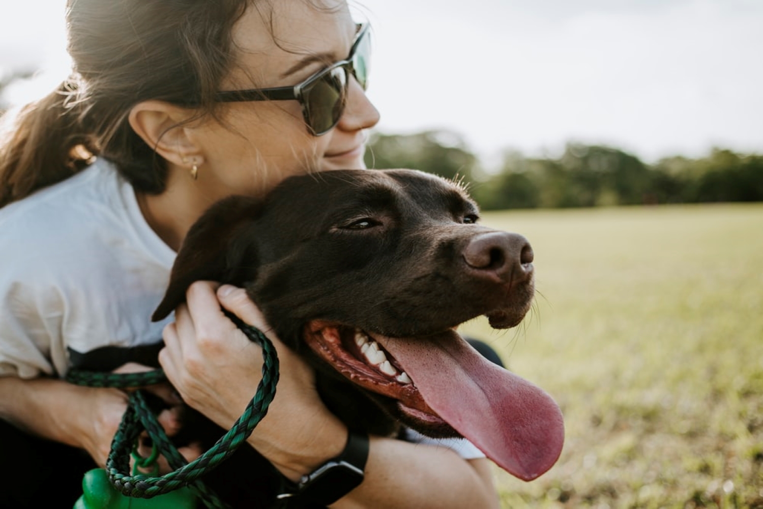 Find your new best friend during this Canada-wide pet adoption event