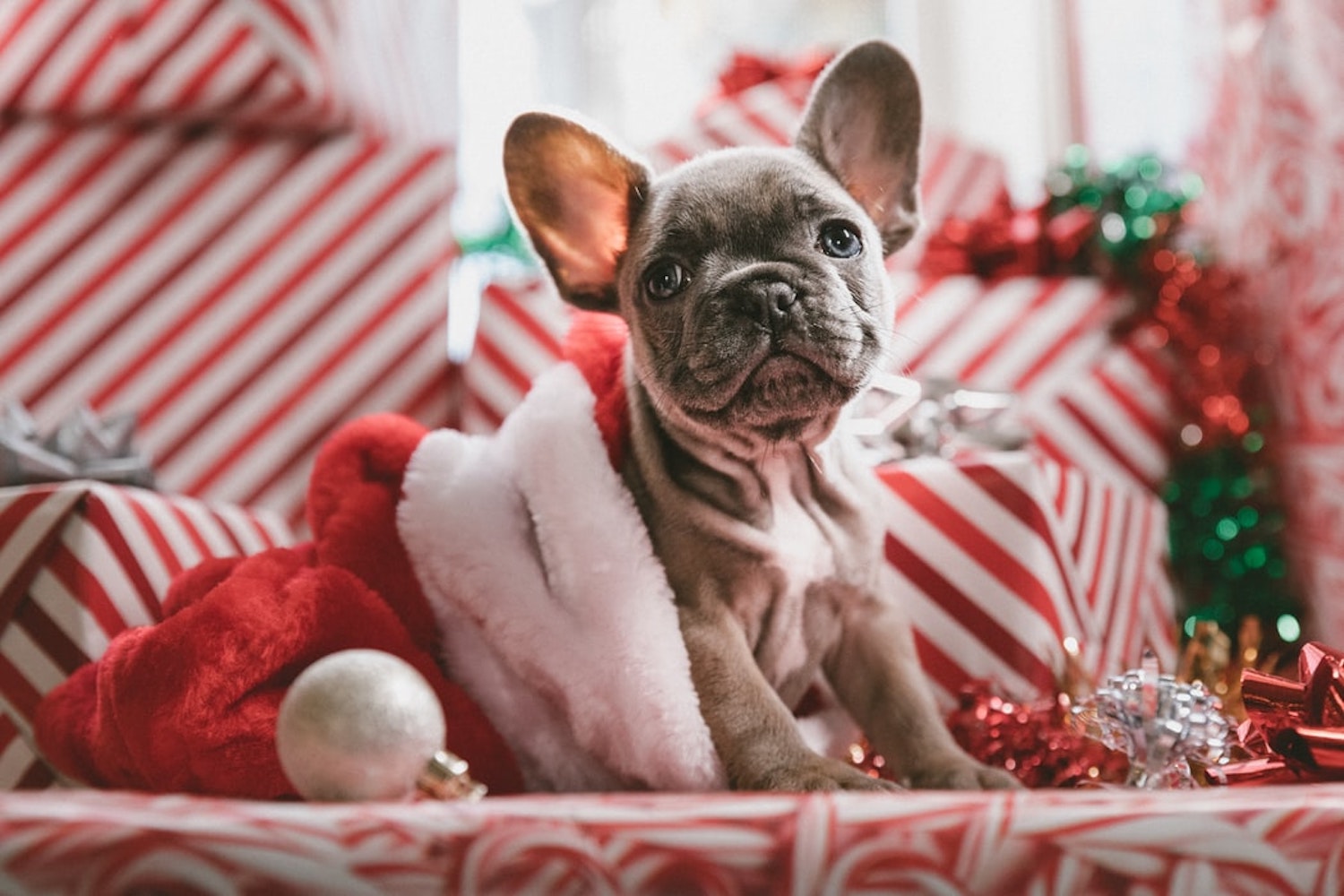 things to do at home december