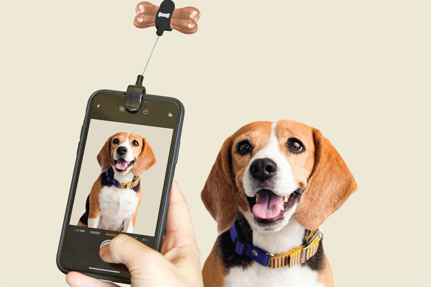 TELUS spark gifts dog selfie