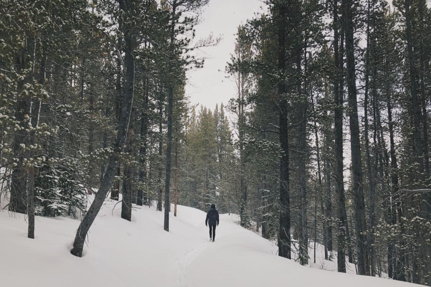 winter walk