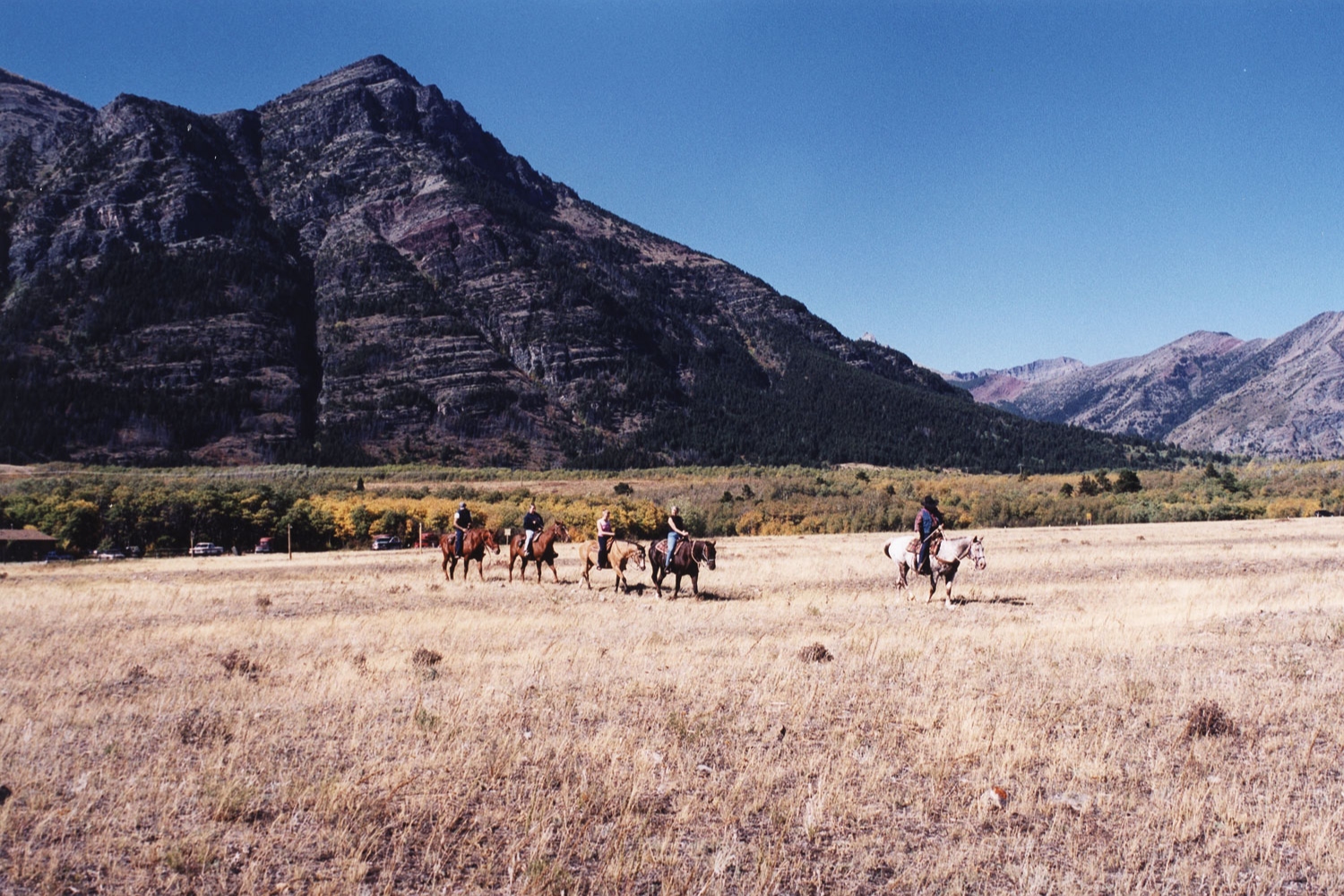 Cowboy Trail